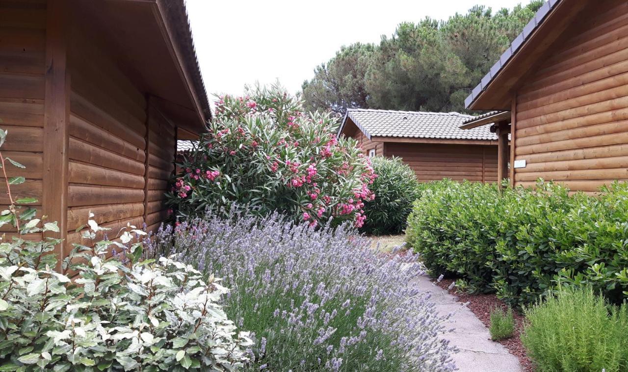 Parc résidentiel les Hauts de Baldy Agde Exterior foto